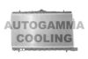 AUTOGAMMA 103772 Radiator, engine cooling